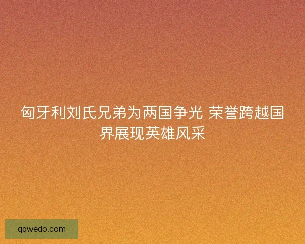 匈牙利刘氏兄弟为两国争光 荣誉跨越国界展现英雄风采